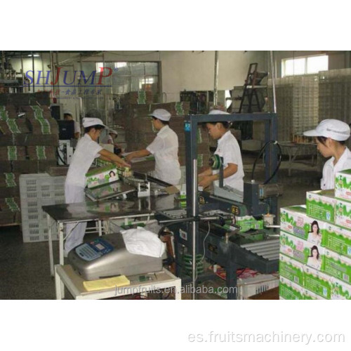 Pasteurizar mini línea de procesamiento de leche láctea uht